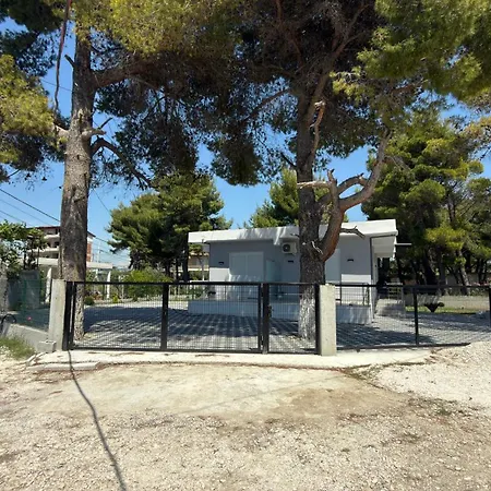 Forest Tatil Evi